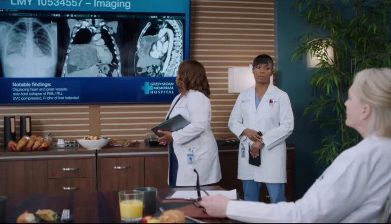 Момент из 8 серии 22 сезона